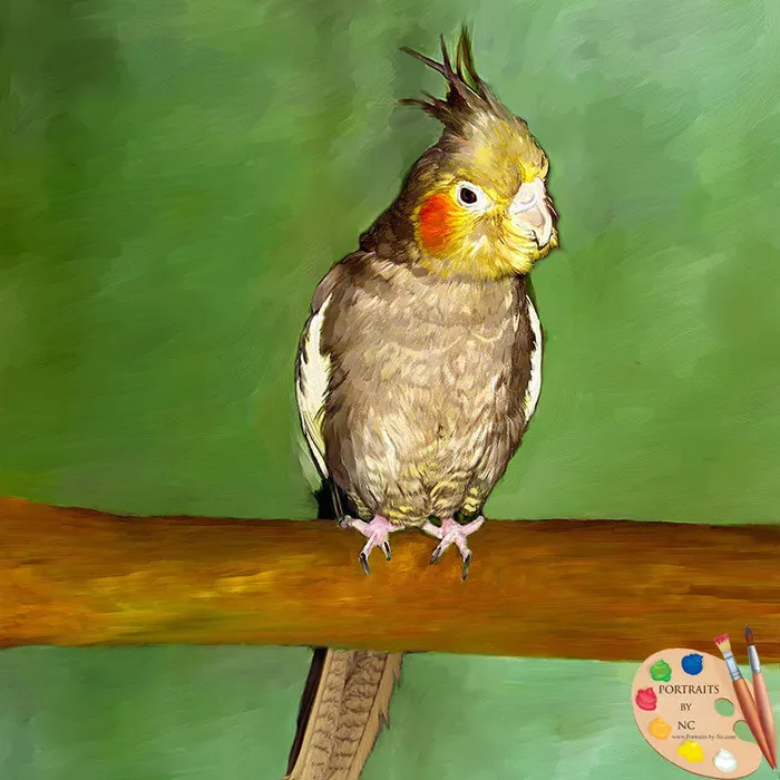Cockatiel Bird Portrait Portraits by NC Earrings