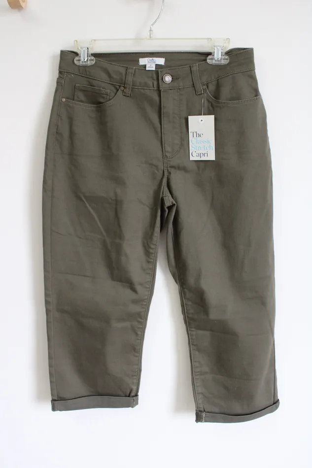 Croft Barrow Rings NEW Croft and Barrow Classic Stretch Green Capri 8