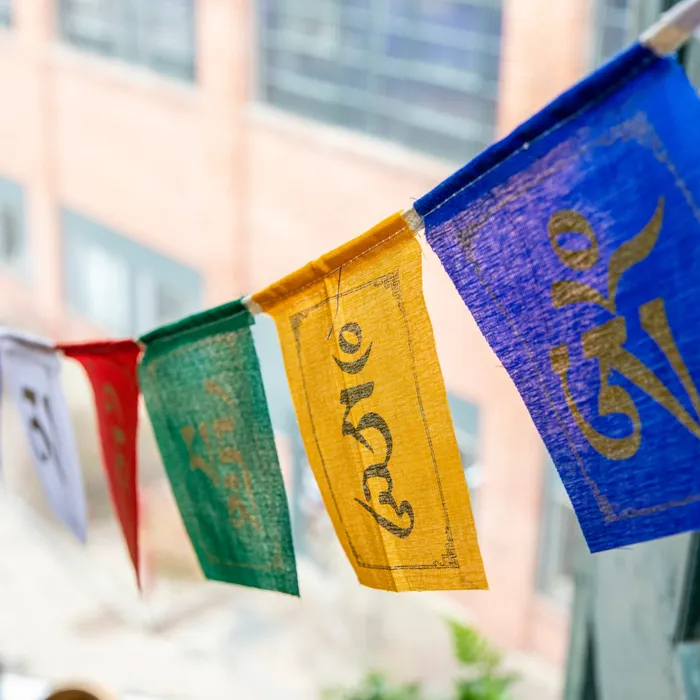 DharmaCrafts Earrings Small Sacred Mantra Prayer Flags