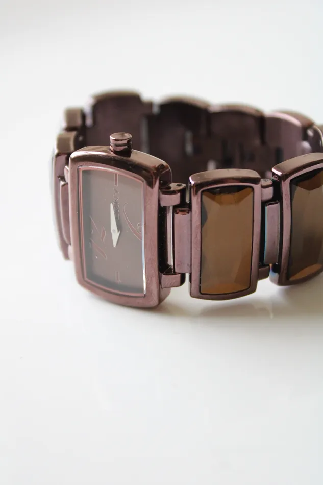 Earrings DKNY Chocolate Brown Stainless Steel Rhinestone Watch DKNY