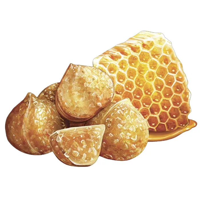 HAWAIIANHOST Mauna Loa Dry Honey Roasted Macadamia Nuts 4 oz Earrings