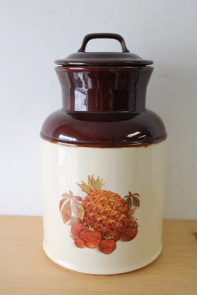 McCoy 254 USA Ceramic Fruit Print Cannister 125 McCoy Earrings