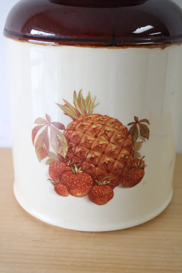 McCoy 254 USA Ceramic Fruit Print Cannister 125 McCoy Earrings