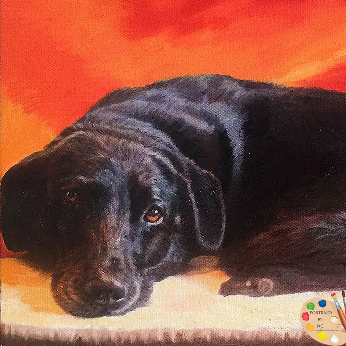 Rings Portraits by NC Black Labrador Oil Portrait