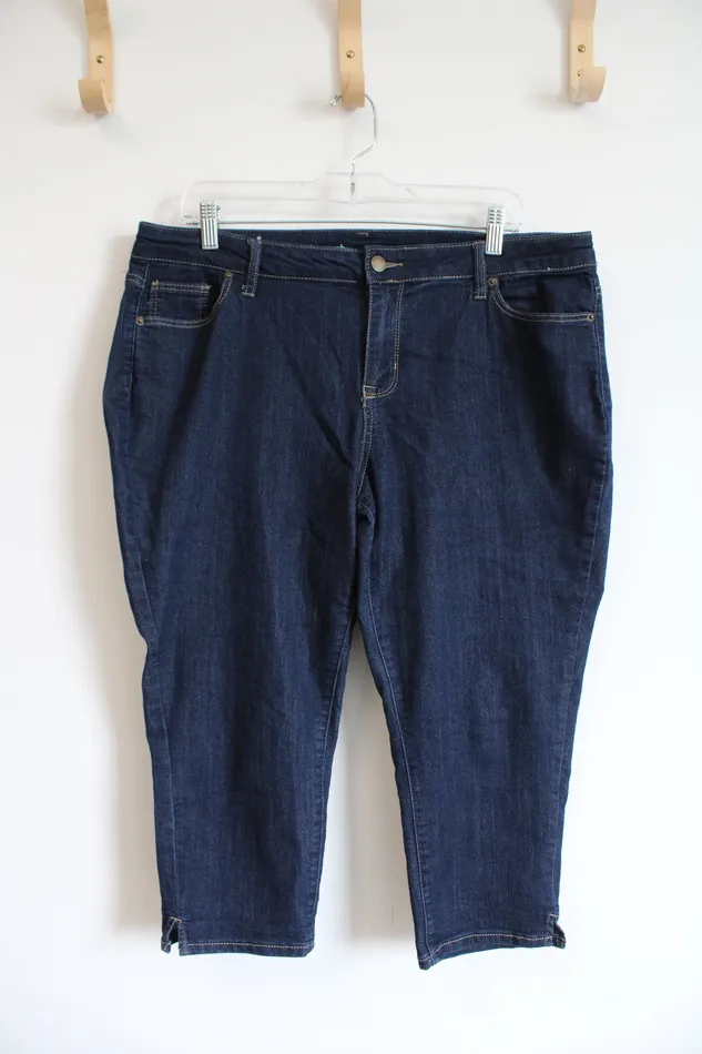 Westport Denim Earrings Westport Signature Fit Capri Jeans 16 Petite