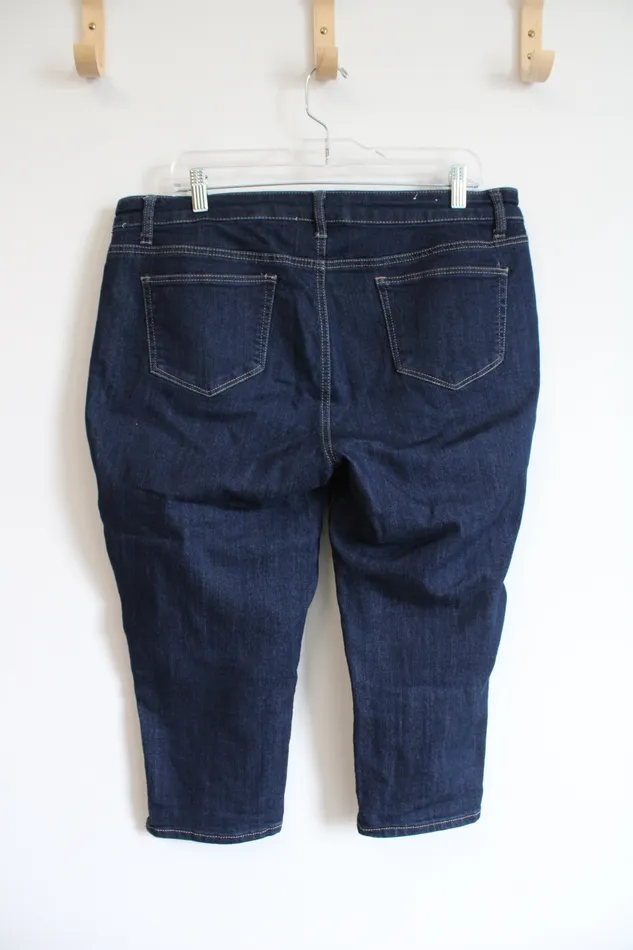 Westport Denim Earrings Westport Signature Fit Capri Jeans 16 Petite