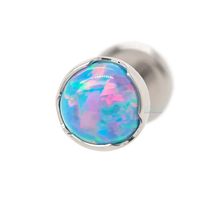 3mm ProngSet Opal Cabochon on Flatback Anatometal Earrings