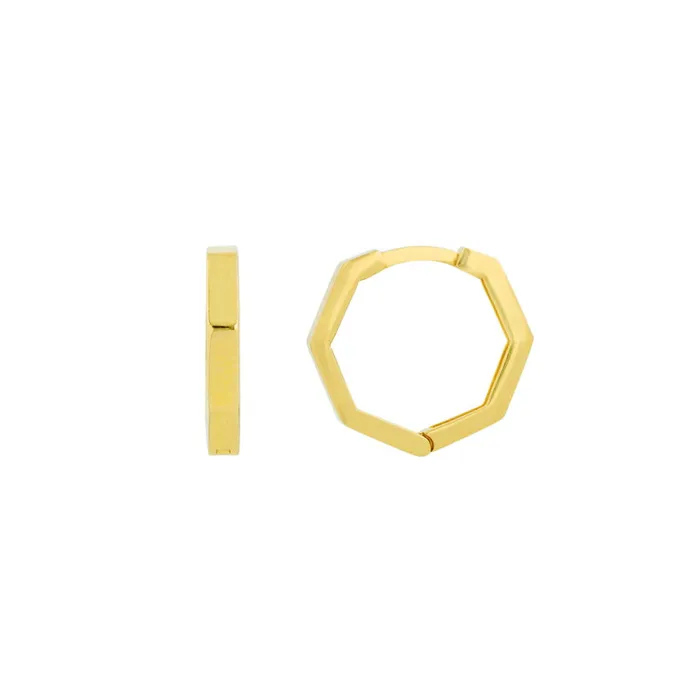 Alexis Jae Earrings Small Hexagon Hoop Earrings