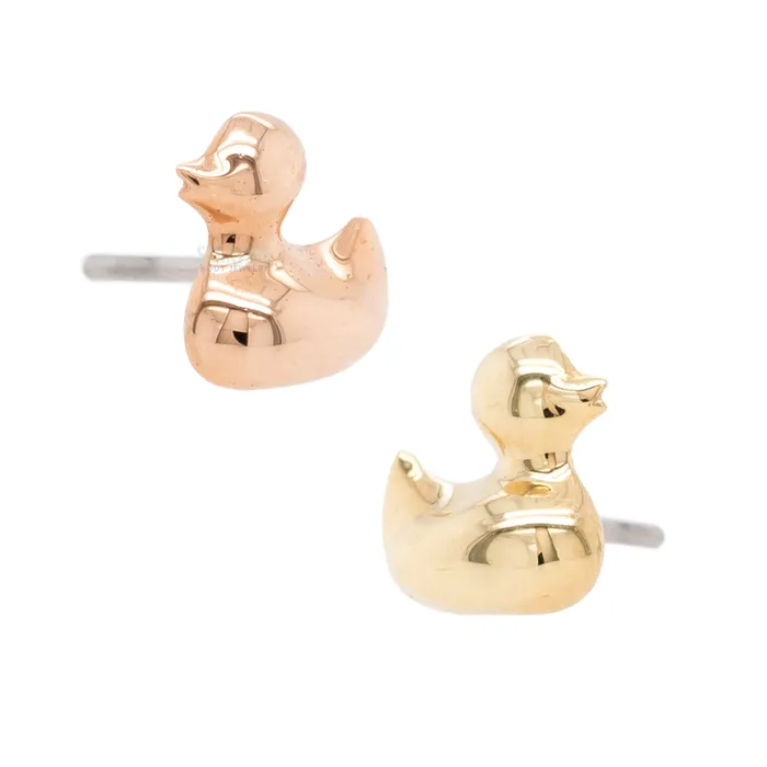 Anatometal Earrings threadless Ducky End in Gold
