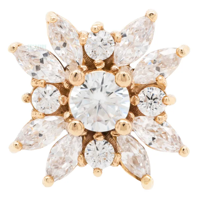Aureus in Gold Platinum with CZs on flatback Kiwi Diamond Necklaces