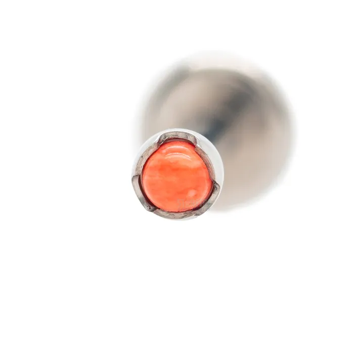 Earrings Anatometal 2mm ProngSet Natural Stone Cabochon on Flatback