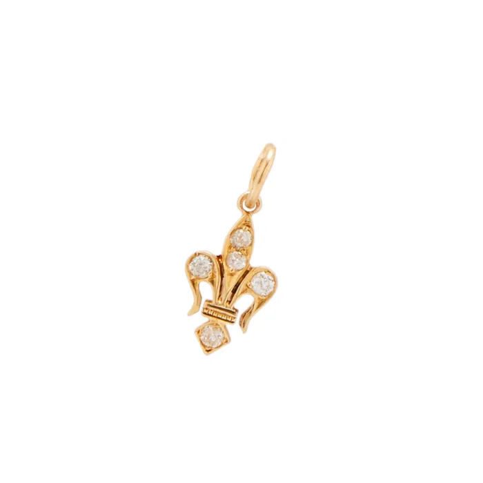 Earrings Antique Victorian Diamond FleurDeLis and 14k Gold Charm