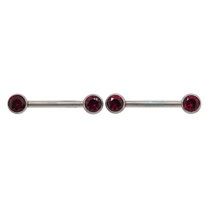 Faceted Gem Forward Facing Nipple Barbells in Bezels pair Industrial Strength IS Earrings