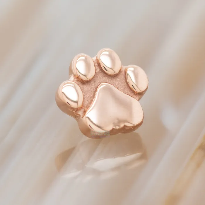 Flat Dog Paw Threaded End in Gold Body Vision BVLA Earrings
