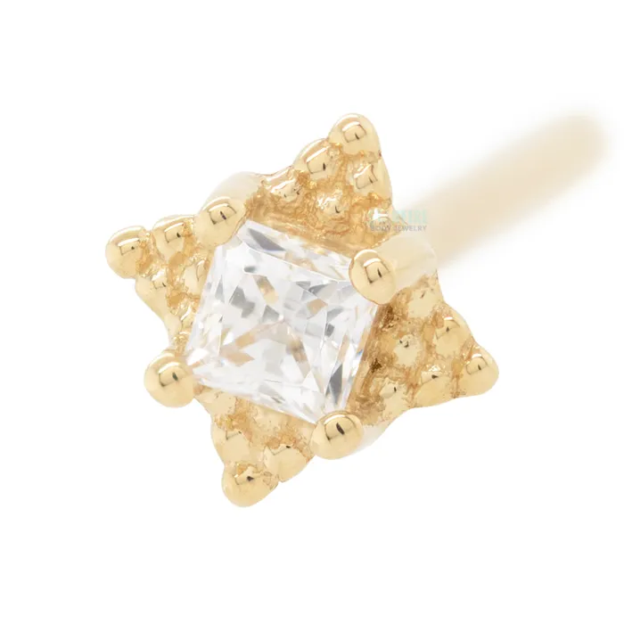 Mini Kandy Nostril Screw in Gold with PrincessCut White CZ Body Vision BVLA Earrings Mini Kandy Nostril Screw in Gold with PrincessCut White CZ Body Vision BVLA Earrings