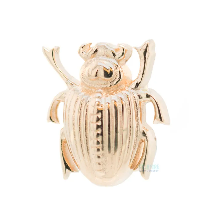 Scarab Beetle Threaded End in Gold Body Vision BVLA Earrings