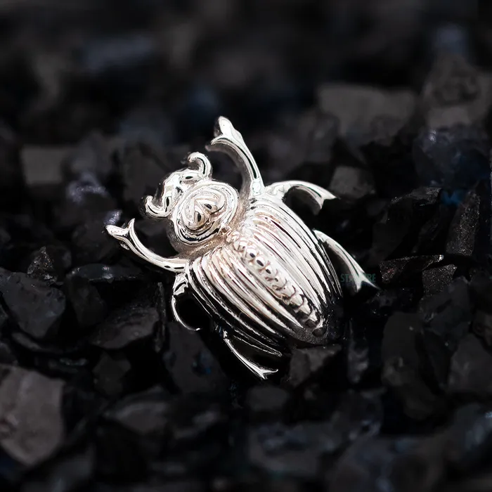 Scarab Beetle Threaded End in Gold Body Vision BVLA Earrings