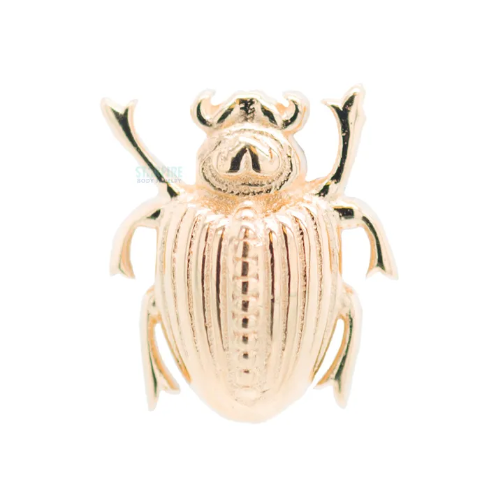 Scarab Beetle Threaded End in Gold Body Vision BVLA Earrings