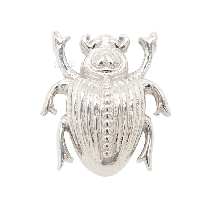 Scarab Beetle Threaded End in Gold Body Vision BVLA Earrings