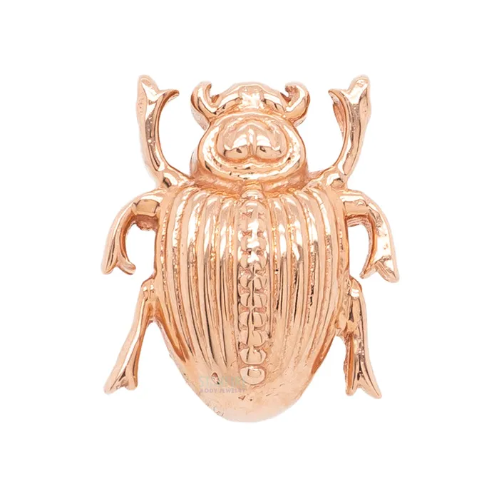 Scarab Beetle Threaded End in Gold Body Vision BVLA Earrings