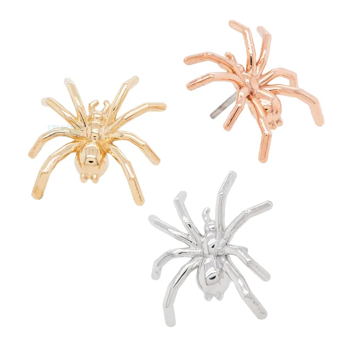 threadless Spider Pin in Gold Tawapa Earrings