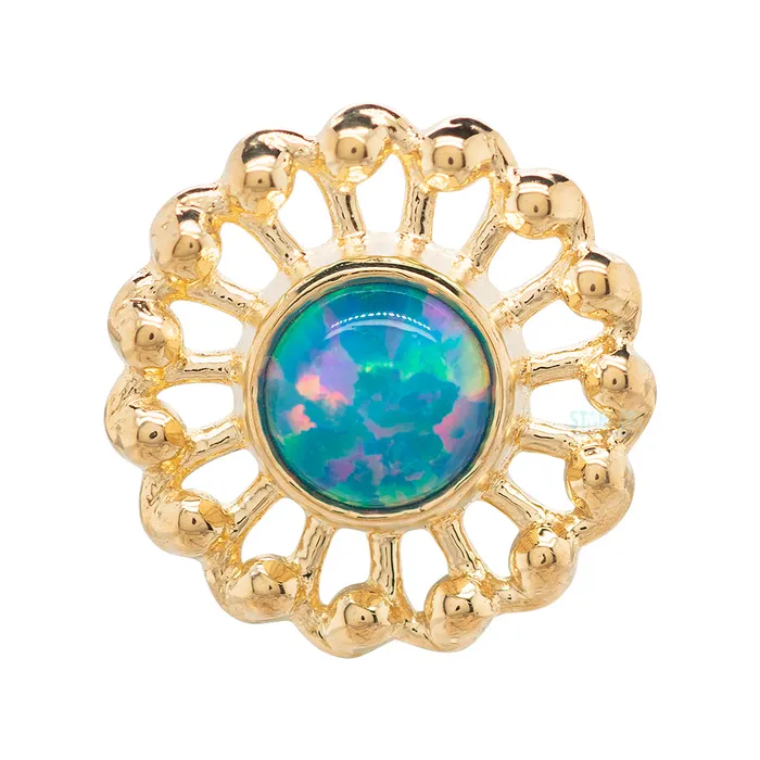 Virtue Nostril Screw in Gold with Opal Anatometal Earrings