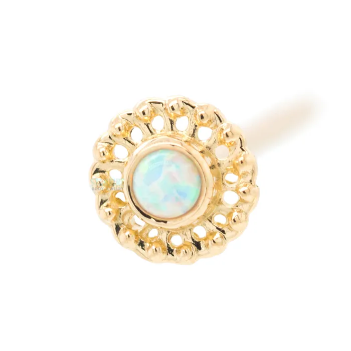 Virtue Nostril Screw in Gold with Opal Anatometal Earrings