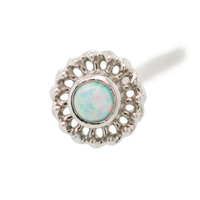 Virtue Nostril Screw in Gold with Opal Anatometal Earrings
