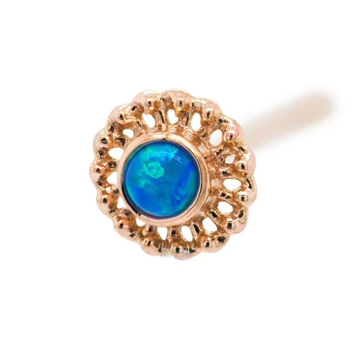 Virtue Nostril Screw in Gold with Opal Anatometal Earrings