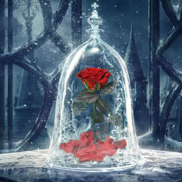 worldnetgifts Beauty and the Beast Rose in Glass with Lights for Christmas Valentines Day Necklaces worldnetgifts Beauty and the Beast Rose in Glass with Lights for Christmas Valentines Day Necklaces